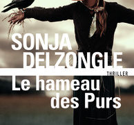 Critique de : Le hameau des purs de Sonja Delzongle